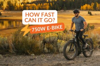 750W e-bike